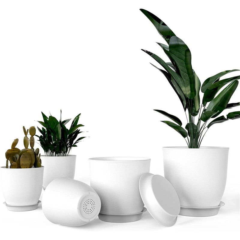 Ensemble de jardinières en plastique polyvalent pour toutes les plantes d'intérieur, idéal pour créer un beau jardin intérieur fonctionnel.