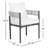 Alessandra 22.75" W Wicker and Steel 2-Piece Weather Resistant Dining Chair Set with Cushions-582905223