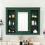 Elegant Wall-Mounted Bathroom Mirror Cabinet with Concealed Storage-1350406264