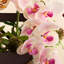 Ornements de fleurs simulées-121081111