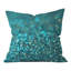 Coussin décoratif-22244837