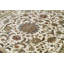 Oriental Area Rug