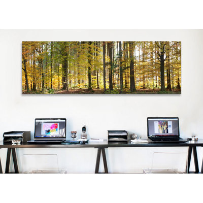 " Trees In Autumn, Hohenlohe, Baden-Wurttemberg, Germany " by Panoramic Images