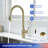 Rainlex Pull Down Kitchen Faucet-100933676