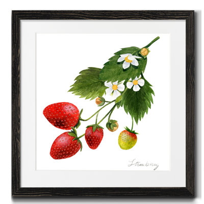 Strawberry Study II, reproduction d’art encadrée