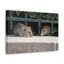 Rat, Rat, Couple, reproduction, art mural