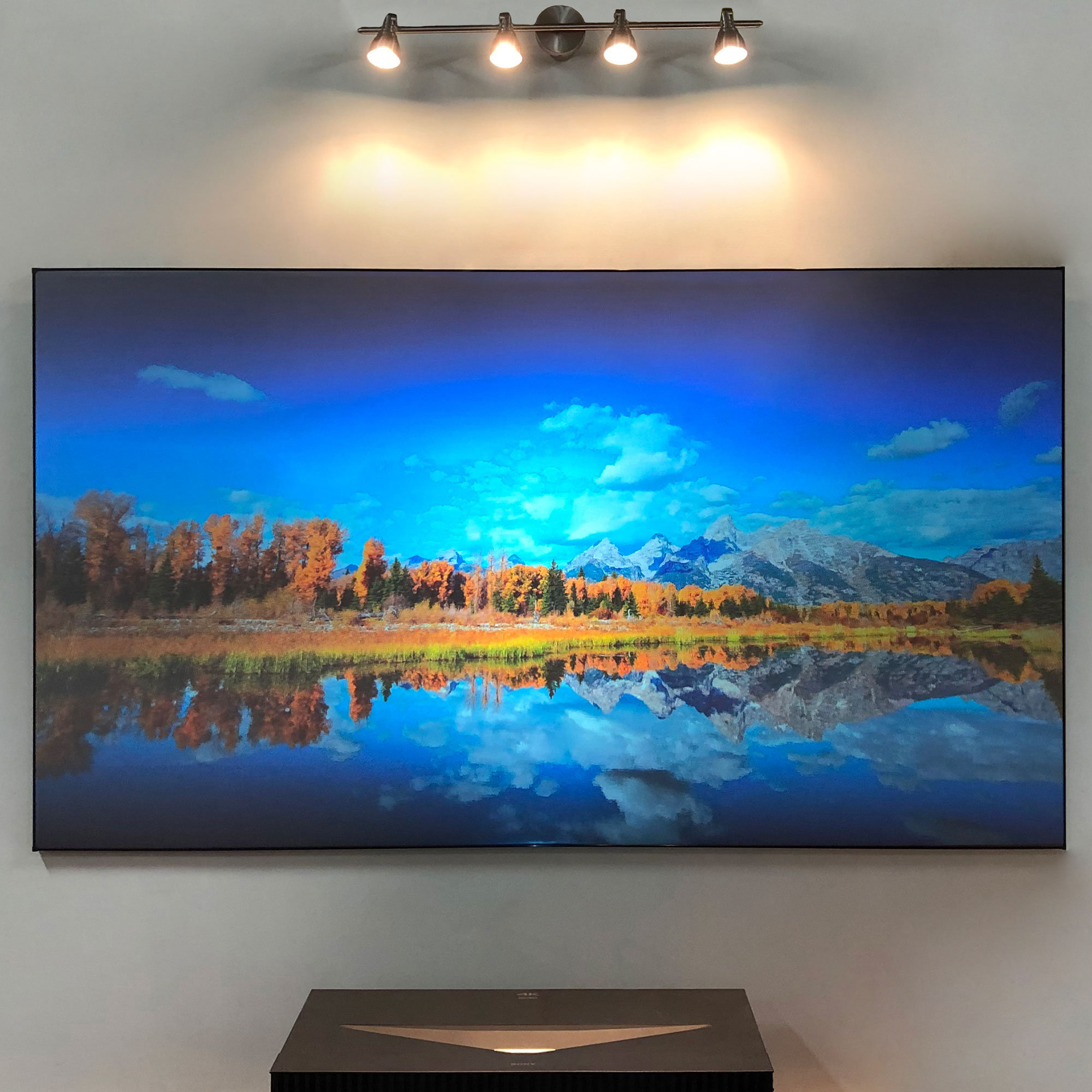 ceiling mounted projection tv