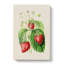 Illustration of Strawberries - Wrapped Canvas-55304397