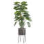 Carlis Ceramic Pot Planter