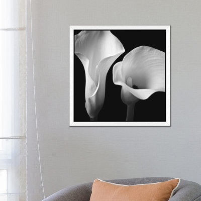 Softness II by Assaf Frank - Floater Frame Print on Canvas
