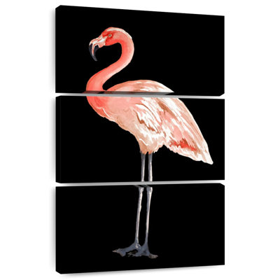 Flamant rose sur fond noir