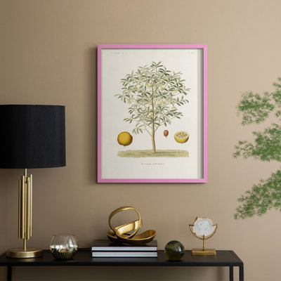 Arbre antique avec fruit IV, reproduction encadrée - bois massif
