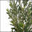 6' Artificial Olive Tree With Pot
