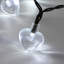 Indoor / Outdoor Holiday Lighting