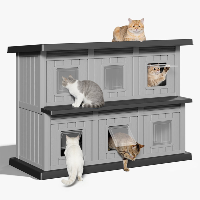 Maison pour chat d'extérieur, abri pour chat imperméable de 2 étages, Noir/gris