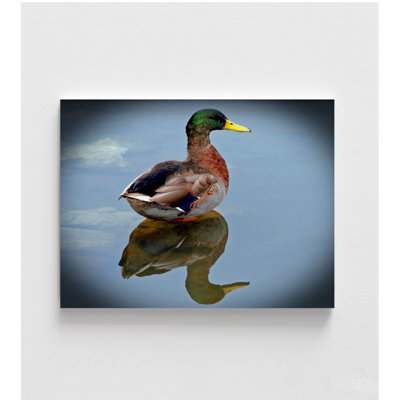 Reproduction de photo de canard colvert, photographie d'oiseau encadrée, cadeau d'art canard, décoration de canard colvert, photographie animalière, art mural encadré