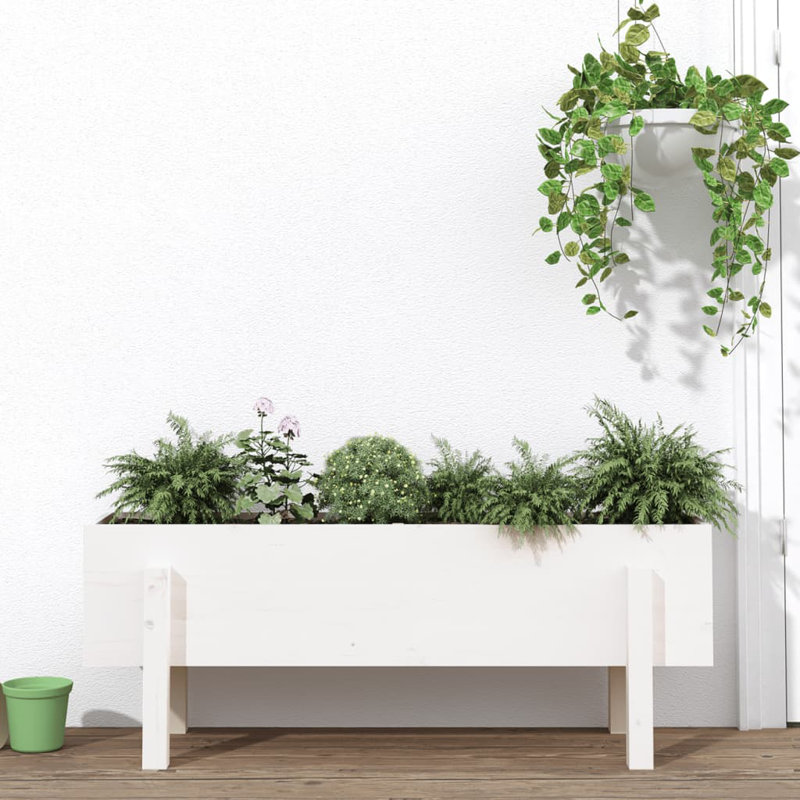 Meenakshi Wood Raised Garden Bed, Pine, 38cm H x 101cm W x 30cm D, White
