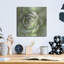 Art mural en métal Winston Porter «Garden Succulents 2 Color» par Laura Marshall-1391852855