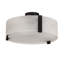 4 - Light Semi Flush Mount