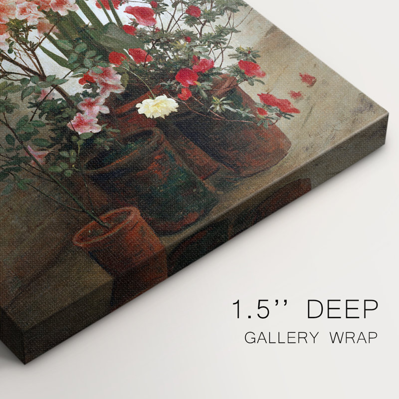 Côté d'une serre - Cavas enveloppés de galerie, H 36 po x l 24 po