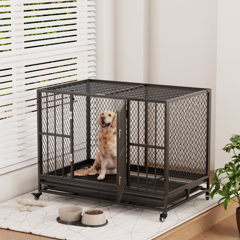 Meuble pour chien robuste de 37 à 48 po avec plateau amovible et roulettes verrouillables à 360 °