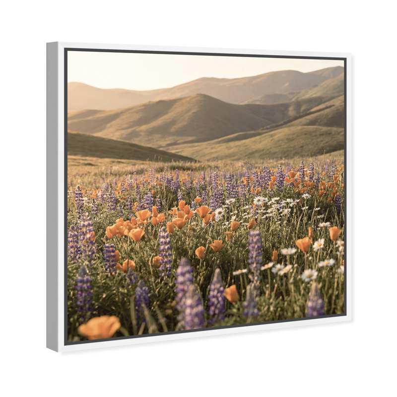 Lavender Hill Print by Oliver Gal, 25" H x 25" W, White Floater Frame