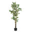 Ficus artificiel avec pot en plastique noir