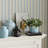 LEMON CUTTINGS STUDY, SET OF 3