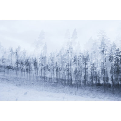 Winter Trees " Winter Trees "