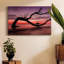 Photographie, photographie, coucher de soleil, plage, toile tendue-762273831