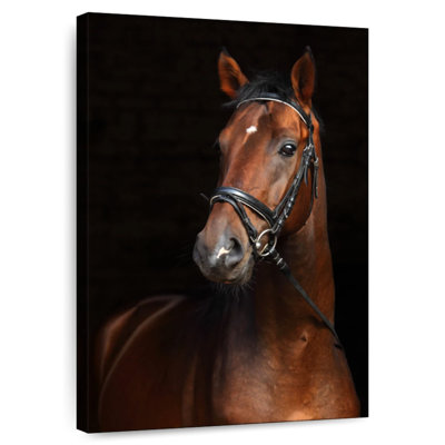 Brampt Bay Horse