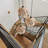 Aquan Modern 3 - Light Dimmable Pendant with Champagne Budding-Flower Shades