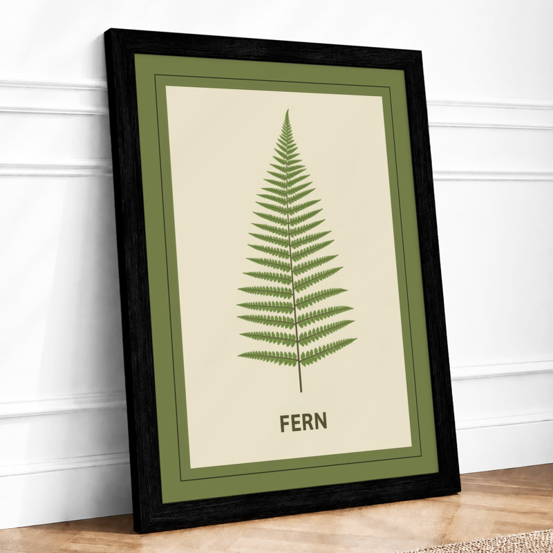 Fern Study Botanical - Framed Print, A4 - 29.7 x 21.0 cm, Black