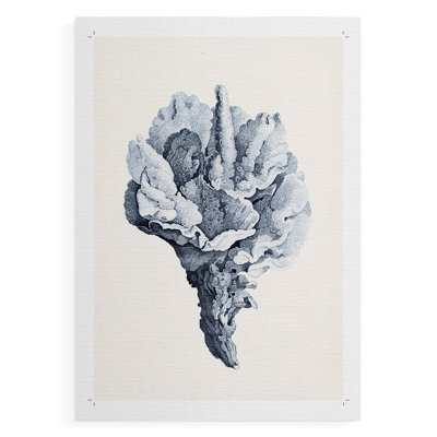 Bleu antique corail III - impression sur toile seulement - NON encadrée