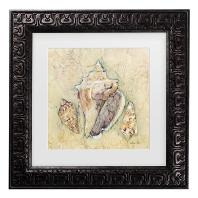 «Cheri Blum Shells III», art encadré mat