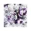 Scent of Plum Roses III, reproduction d'art-19159248-49937852