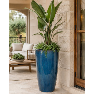 21 in. Calypso Vase - Azul