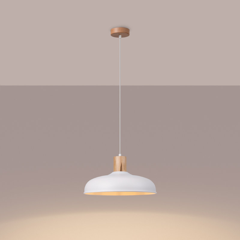 1 - Light Stainless Steel Pendant, White