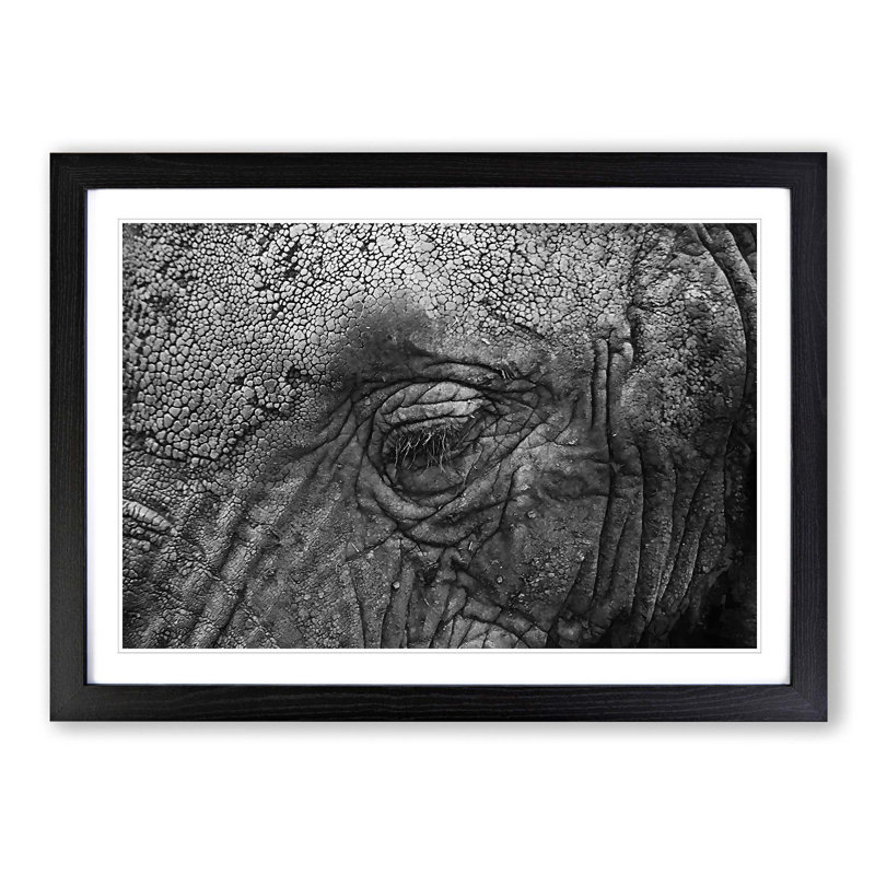 Elephant - Picture Frame Graphic Art Print, 48cm H x 65cm W x 2cm D, Black Framed