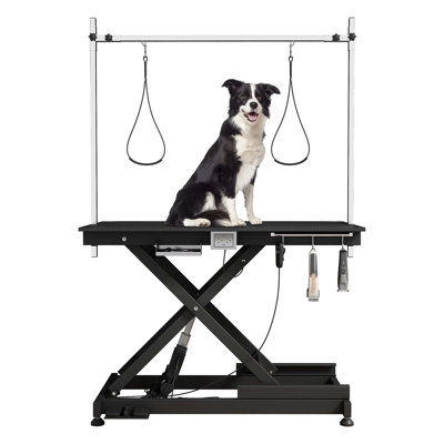 Table de toilettage électrique pour animaux, table de toilettage électrique Super Deluxe