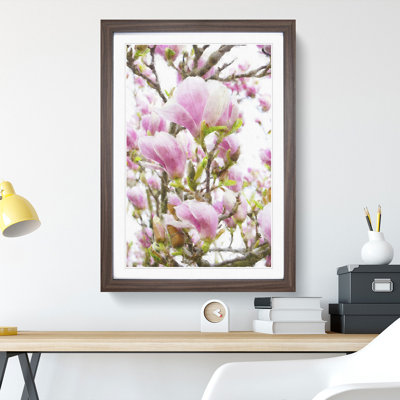 Pink Magnolia Blossom Flowers - Framed Print