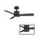 Axis 44'' Ceiling Fan with LED Lights