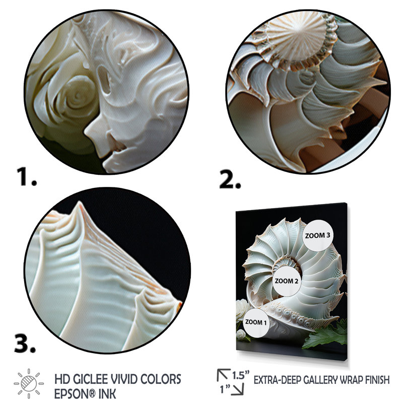 Animal Nautilus Sheels - Décoration murale animaux, H 20 po x l 12 po x P 1 po, Toile noire à cadre unique