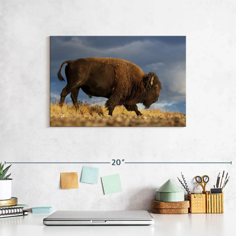 Brampt Walking American Bison, 8" H x 12" W