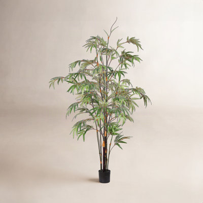 96" Bamboo Tree in Pot