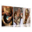 3 Piece Wrapped Canvas Set