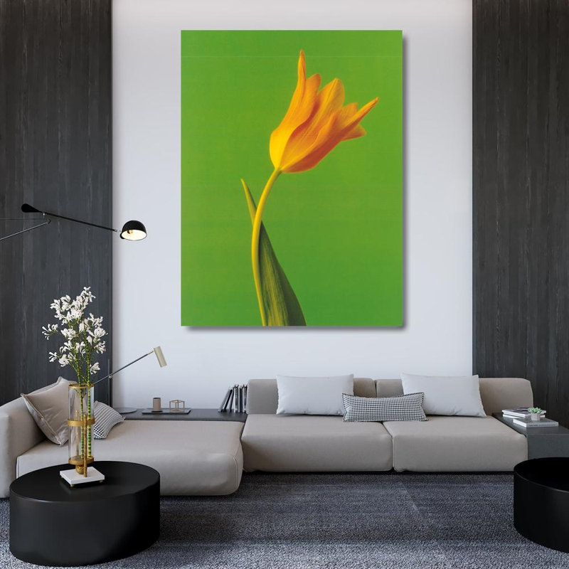 Tulipe, jaune brûlé par le soleil sur vert vif