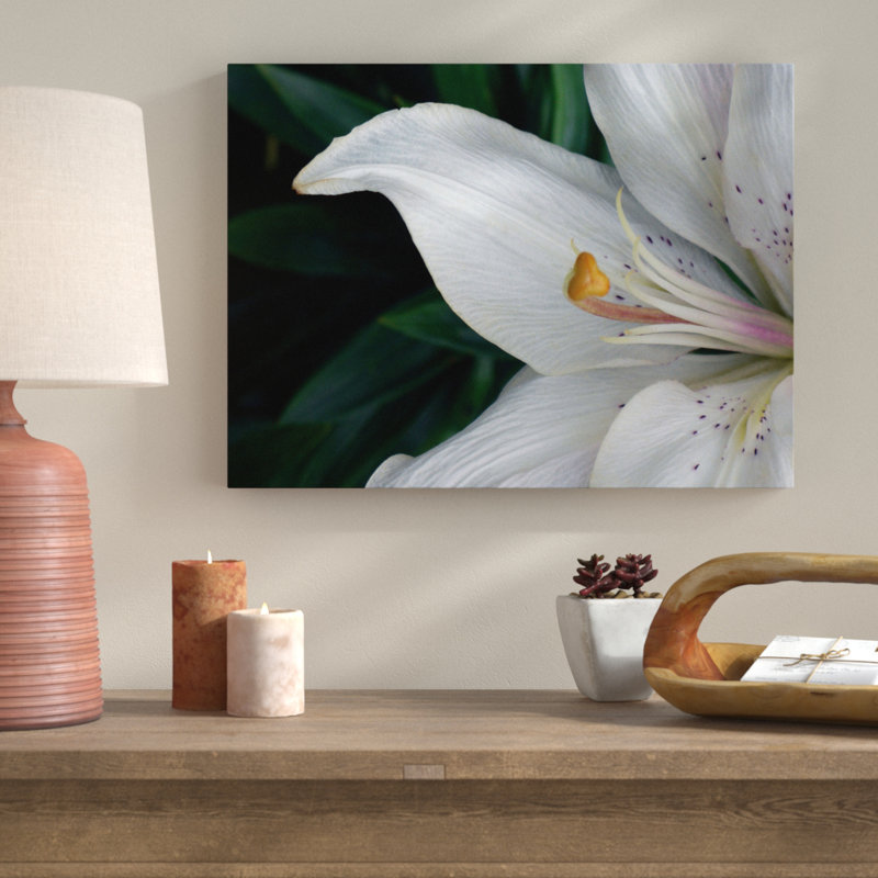 " Macro Lily " by Jim Christensen