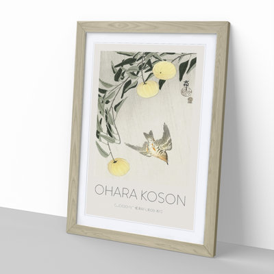 Cuckoo Bird In Flight by Ohara Koson - Single Picture Frame Print
