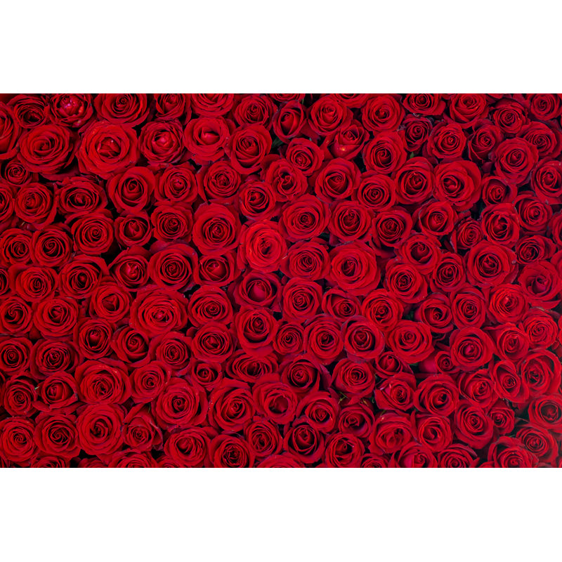 Arrangement de roses rouges par Wsfurlan, H 32 po x l 48 po